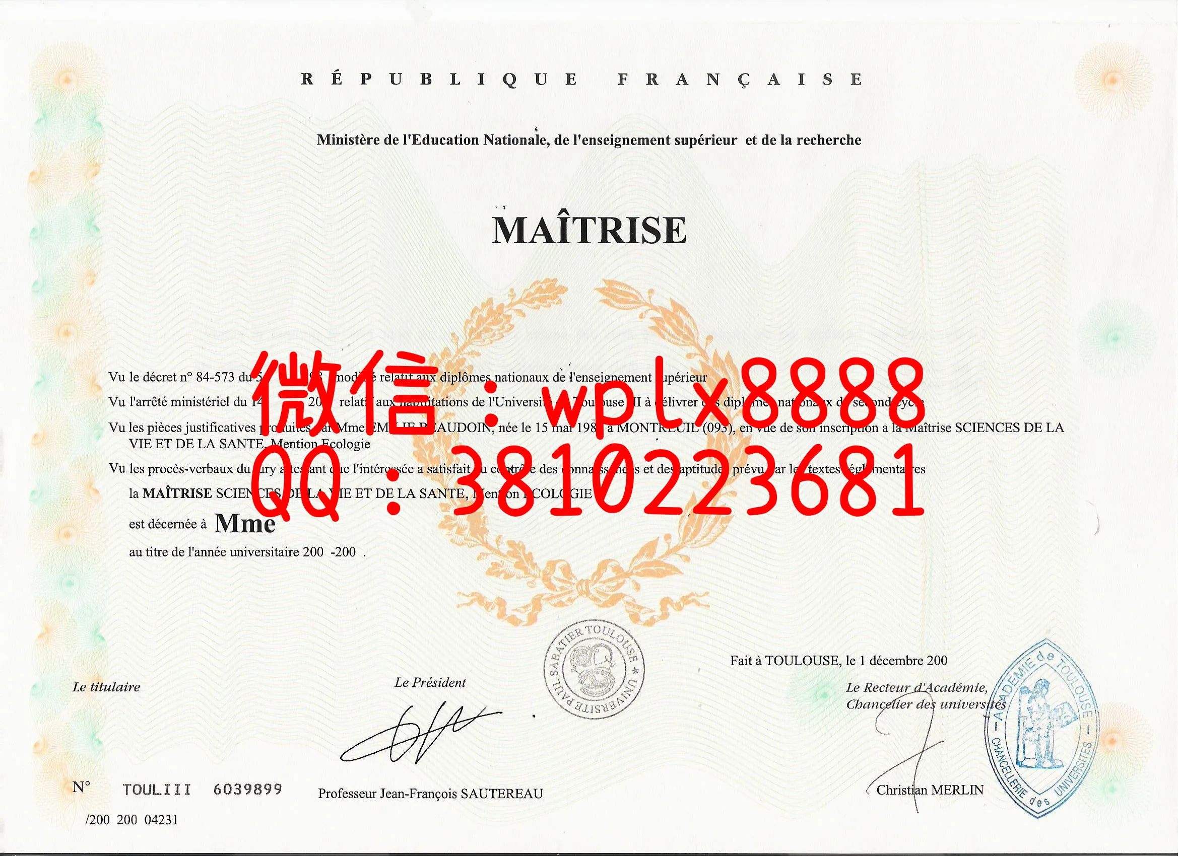 法国：图卢兹第三大学文凭样本