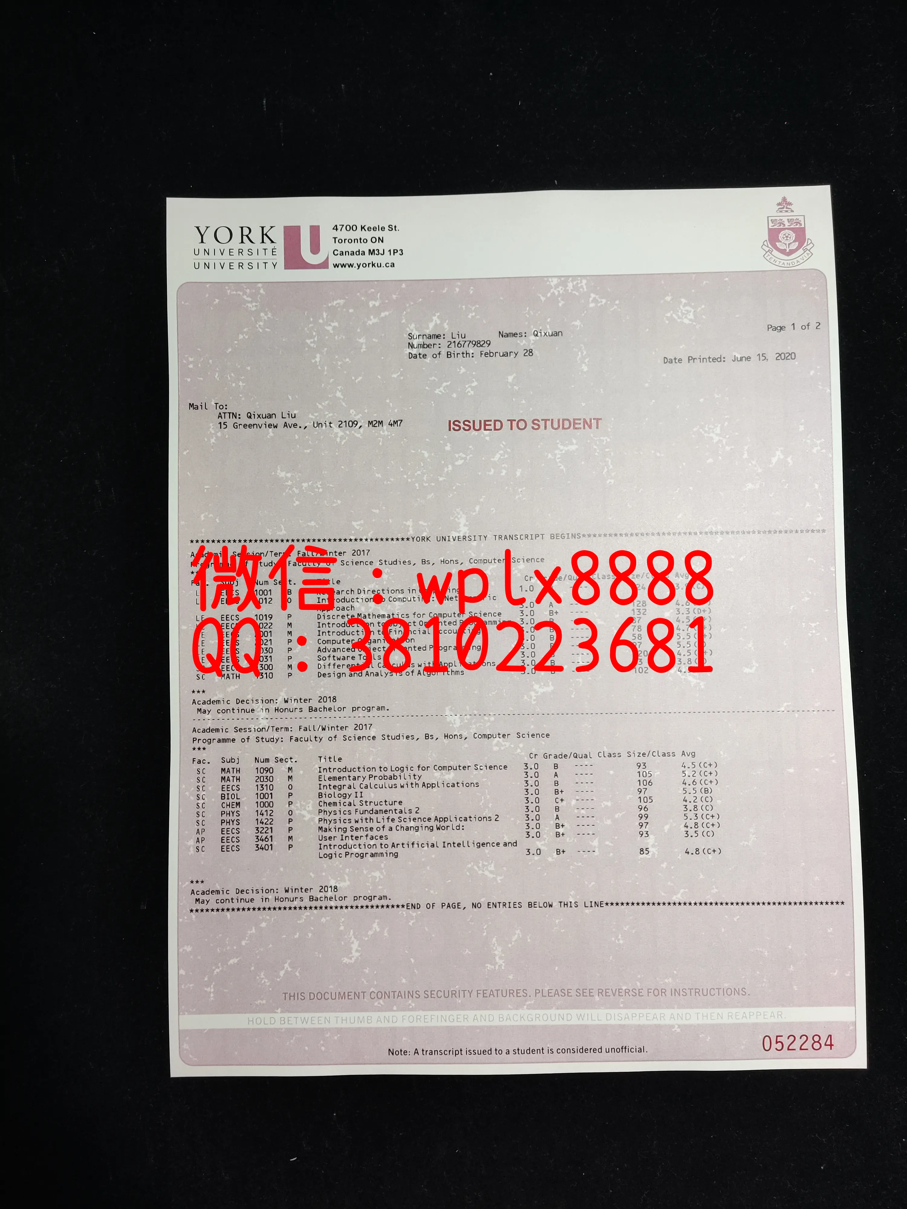 加拿大约克大学成绩单-成品1页