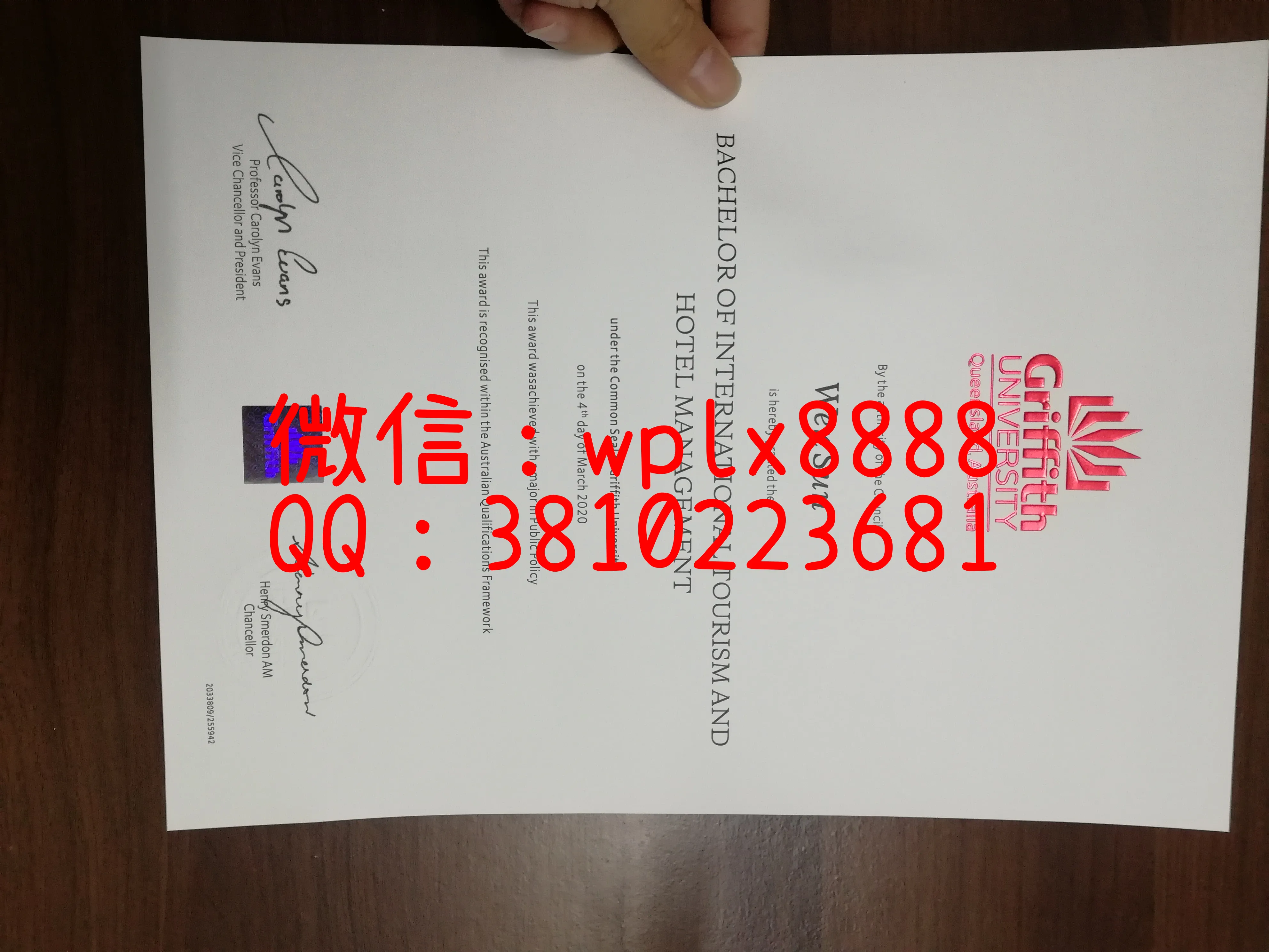 格里菲斯大学实拍特写