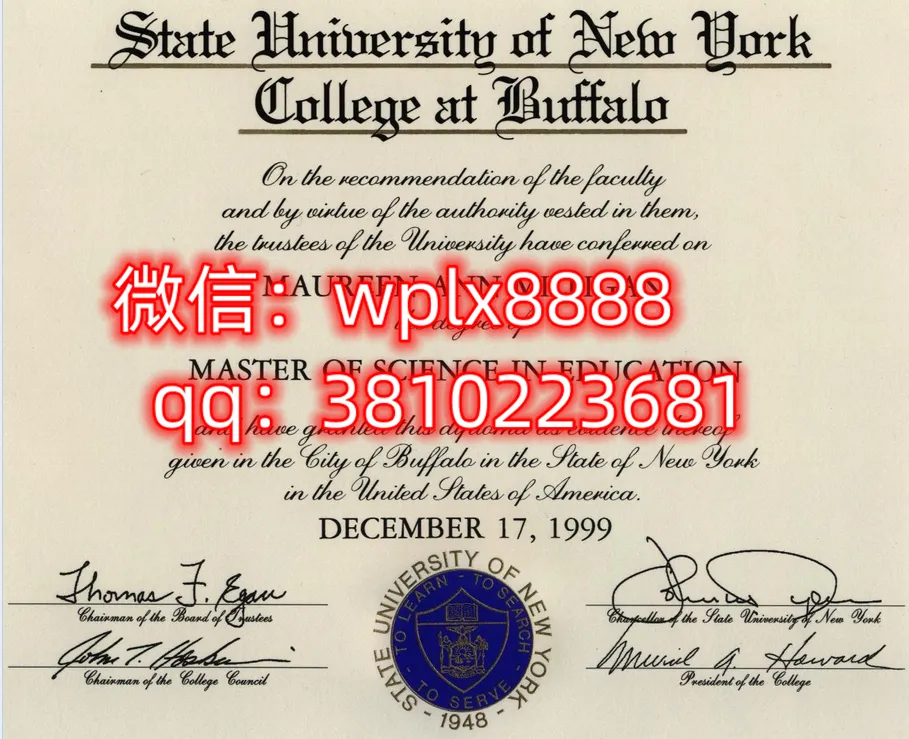 纽约州立大学水牛城分校