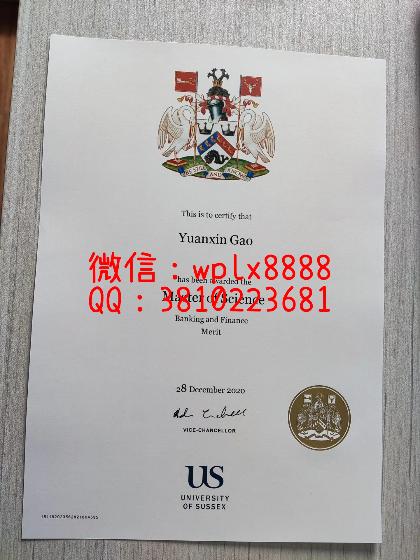 萨塞克斯大学-毕业证