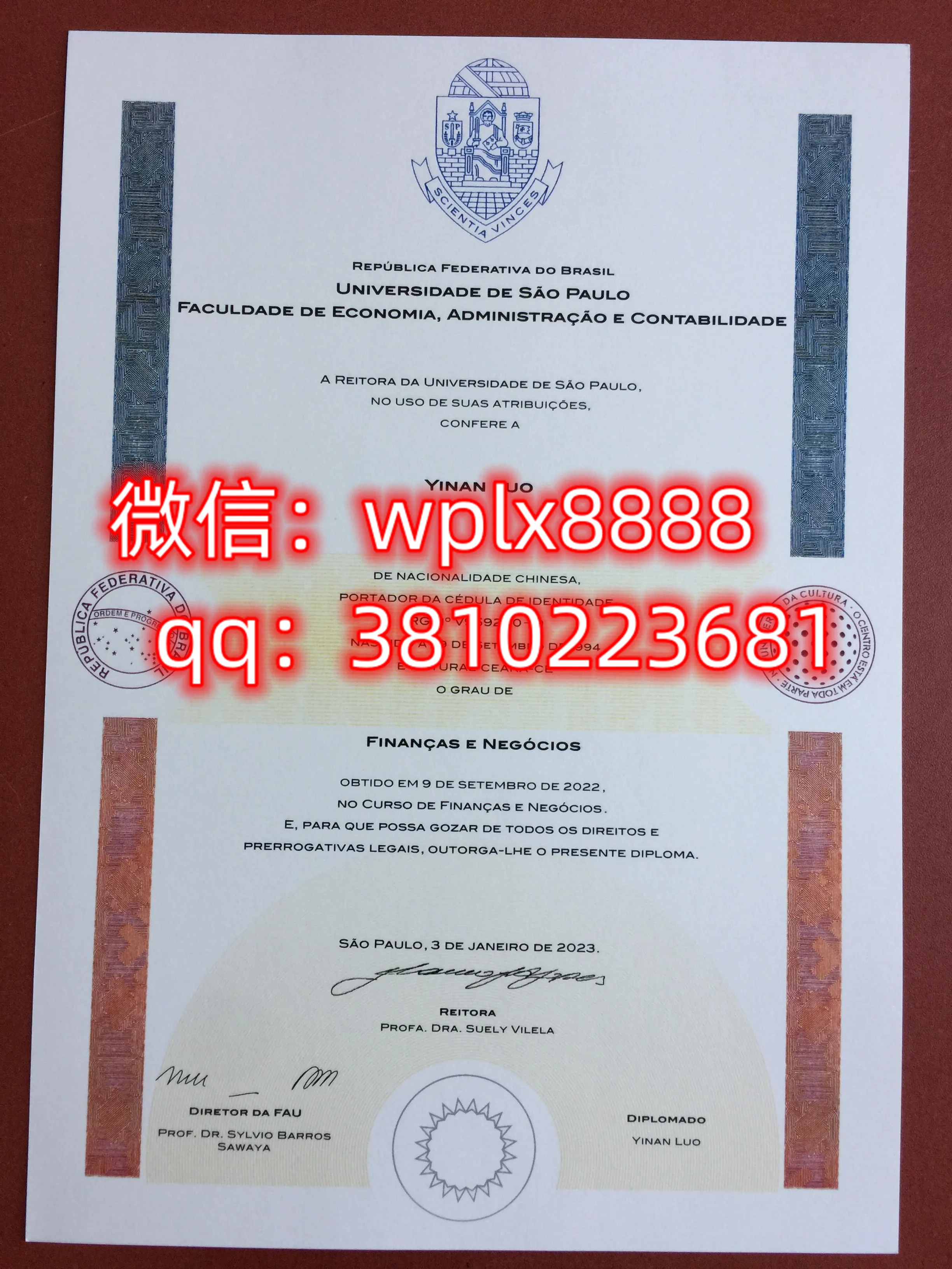 巴西圣保罗大学