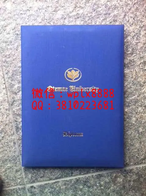 日本大手前大学毕业证外壳1