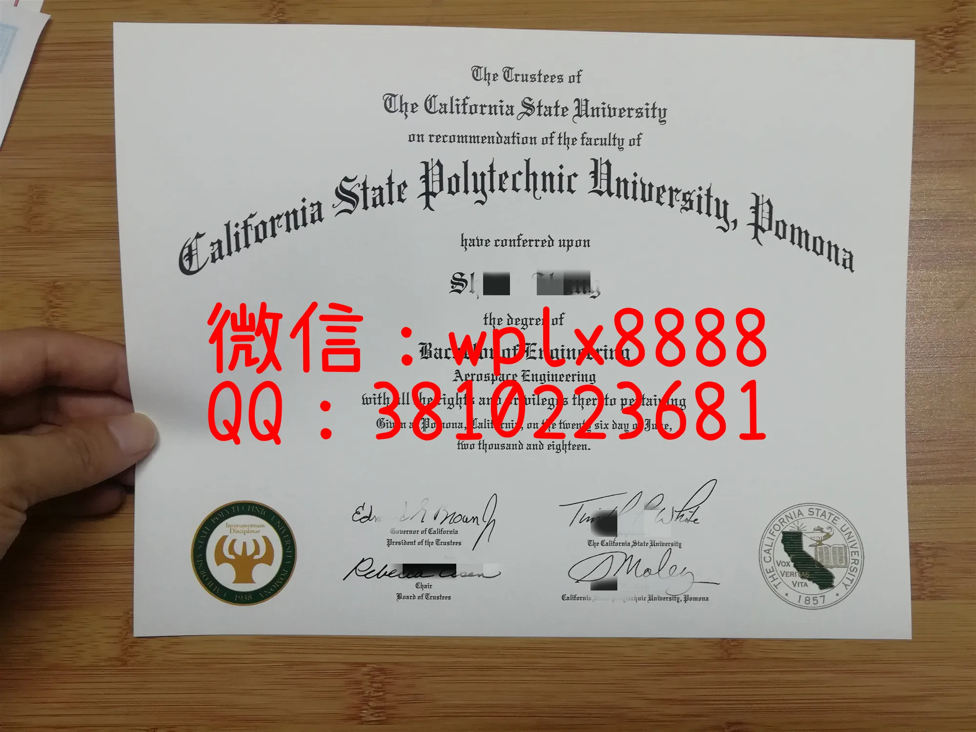 波莫纳加州理工大学