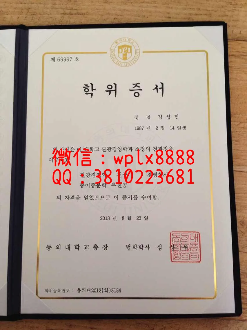 韩国东义大学