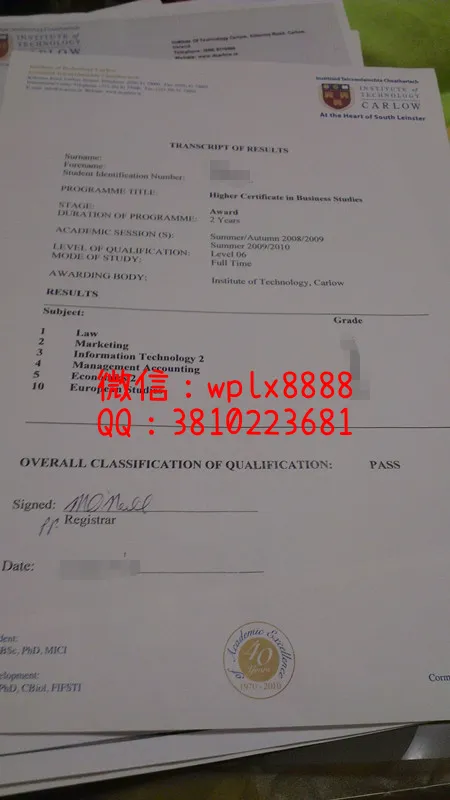 爱尔兰卡罗理工大学成绩单-(1)