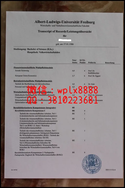 德国弗赖堡大学成绩单2_副本