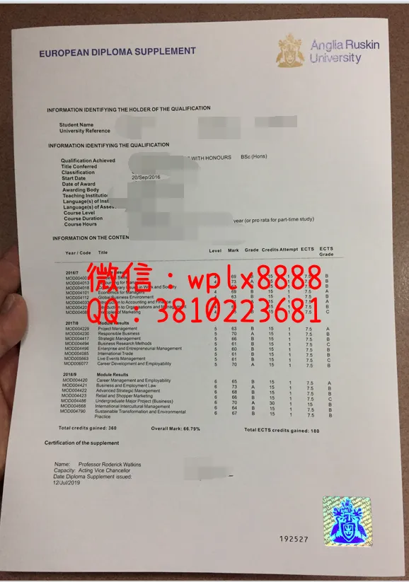 英国安格里亚鲁斯金大学成绩单