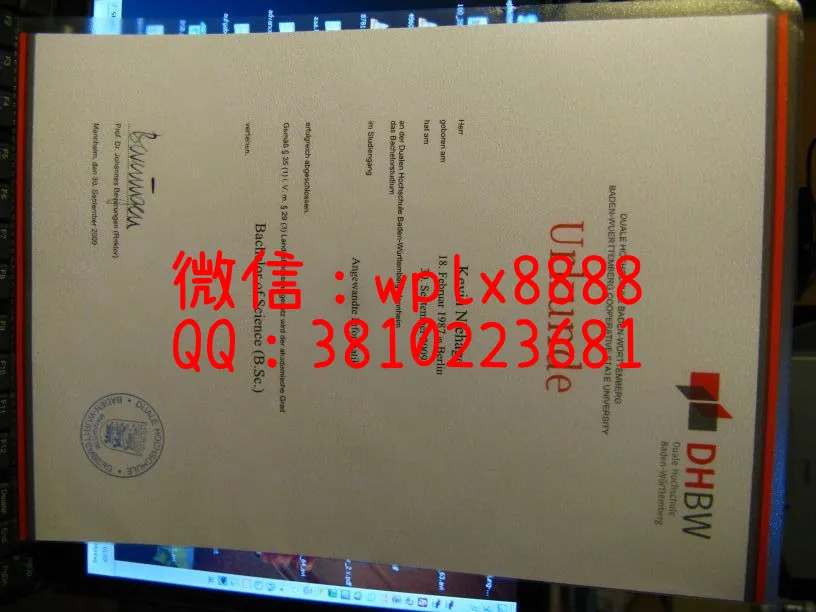 德国巴登符腾堡双元制应用技术大学(Duale-Hochschule-Baden-Württemberg)