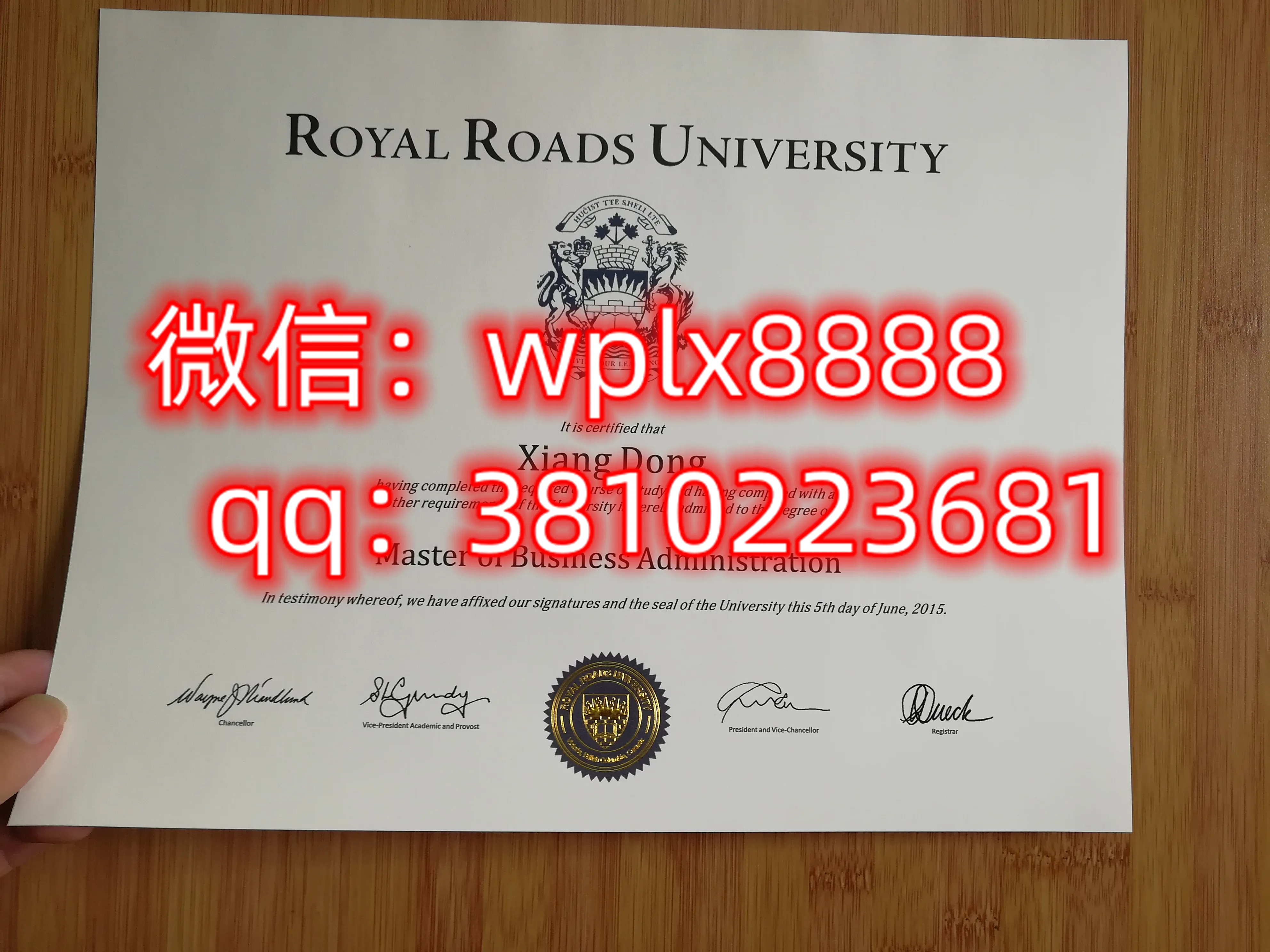 加拿大皇家路大学