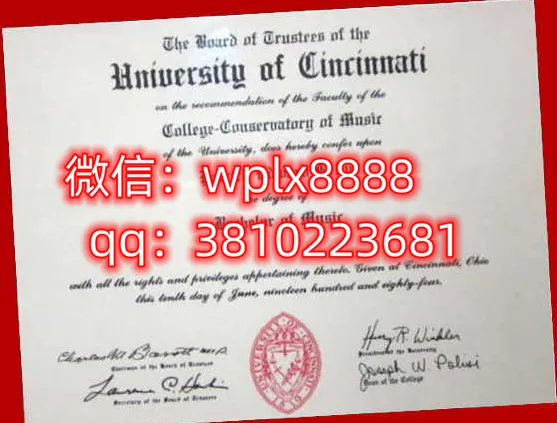 辛辛那提大学