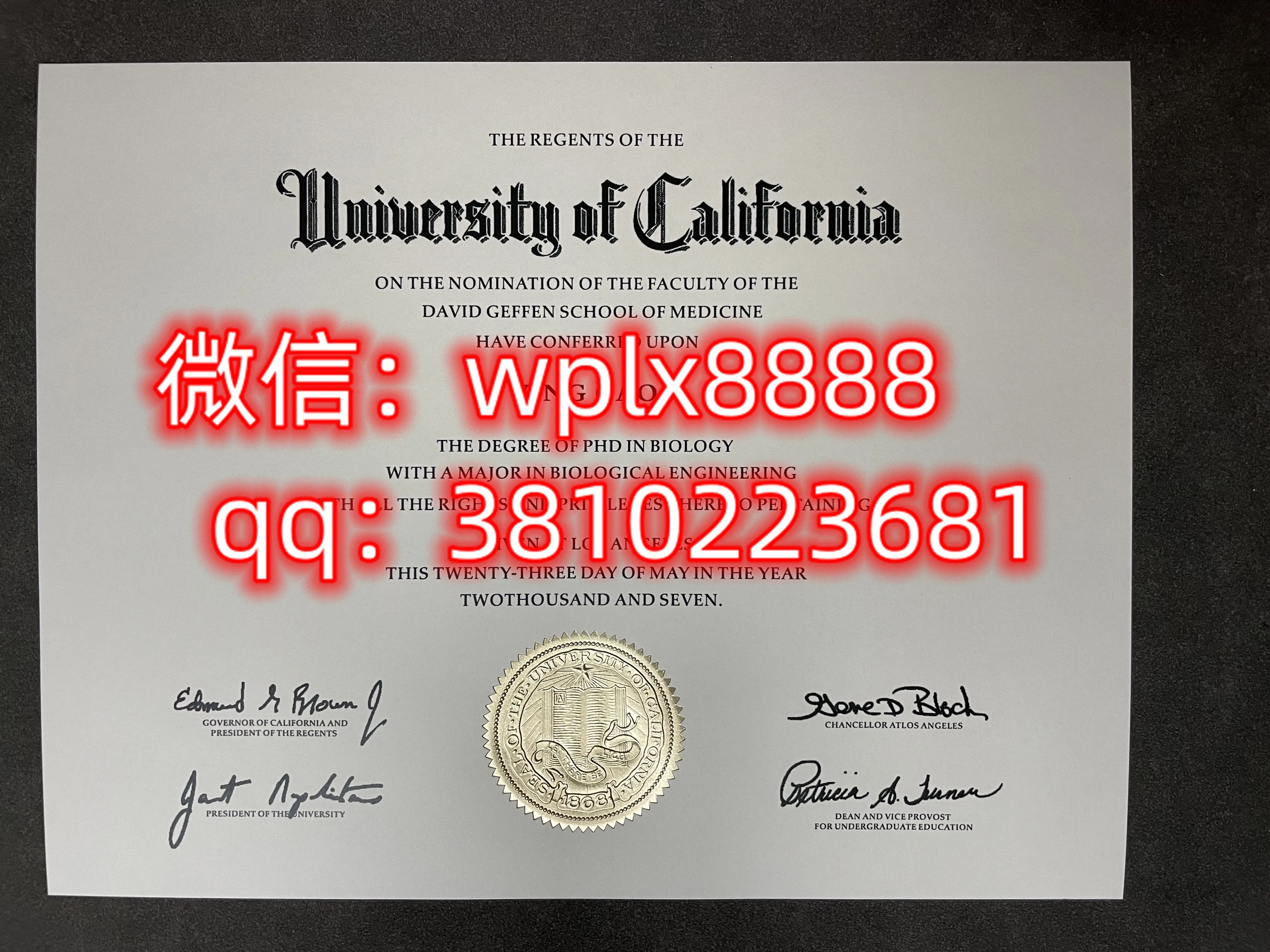 加州大学洛杉矶分校