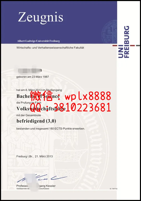 德国弗莱堡大学1_副本