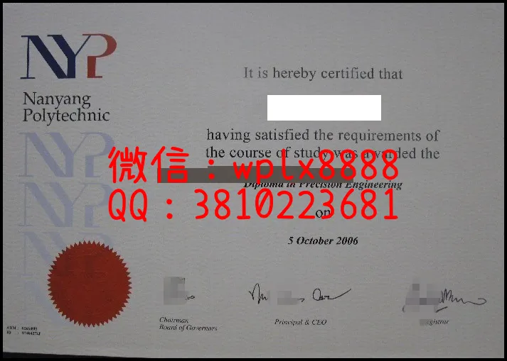 南洋理工学院毕业证_副本