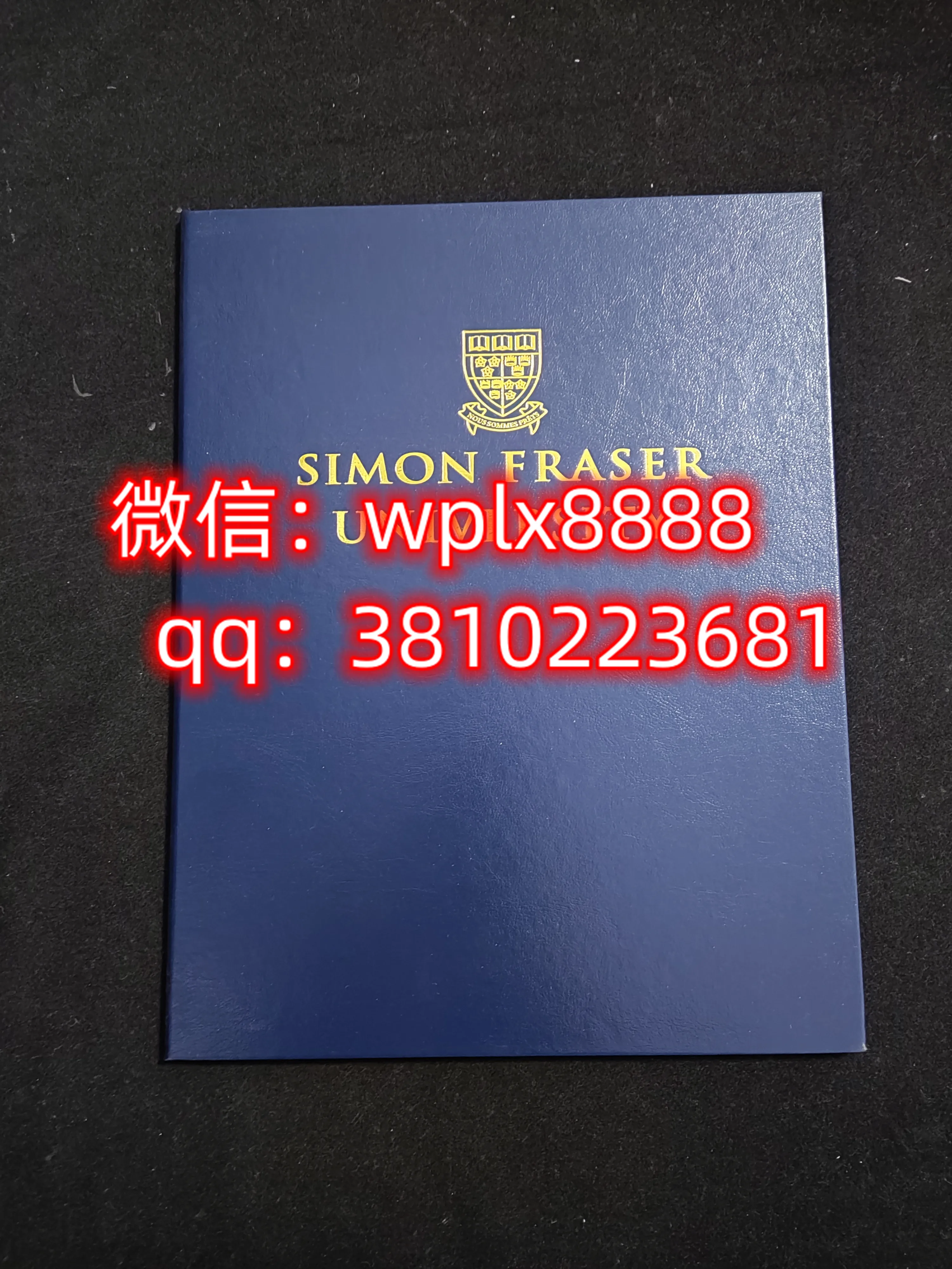 加拿大西蒙菲莎大学