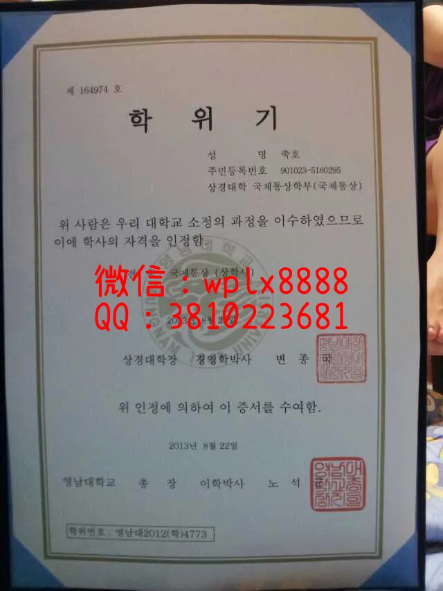 韩国岭南大学毕业证