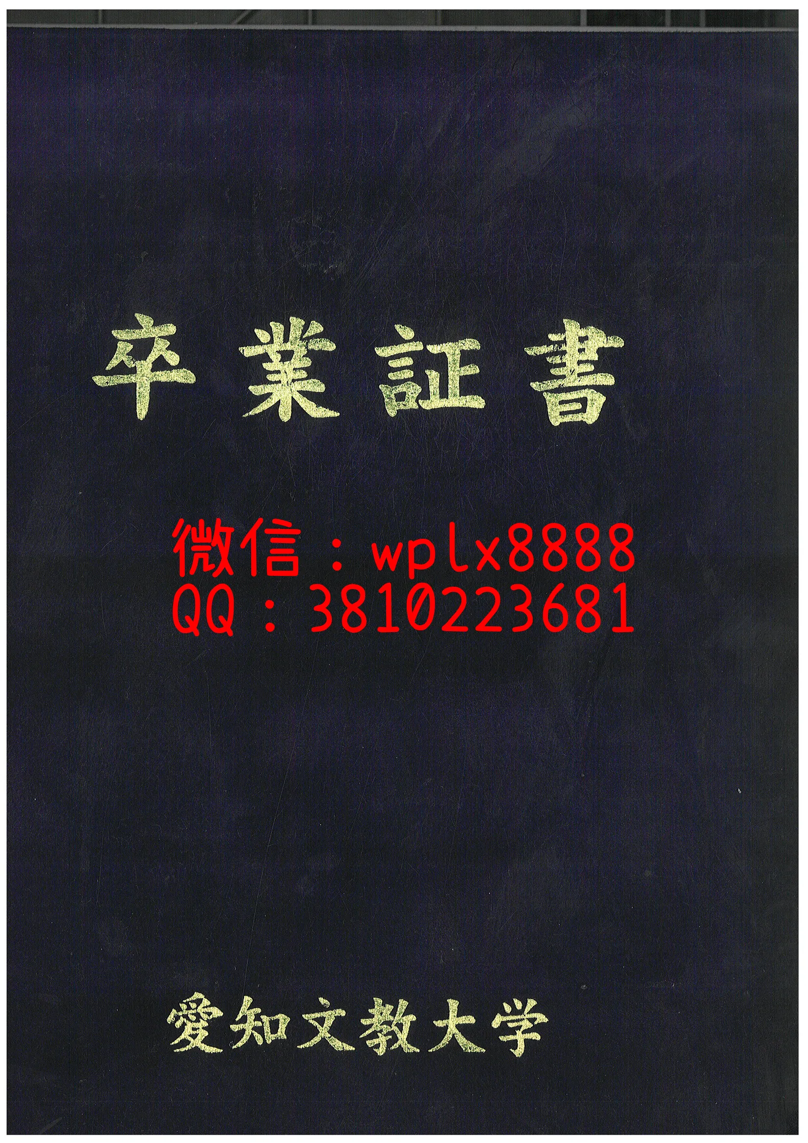 爱知文教大学外壳