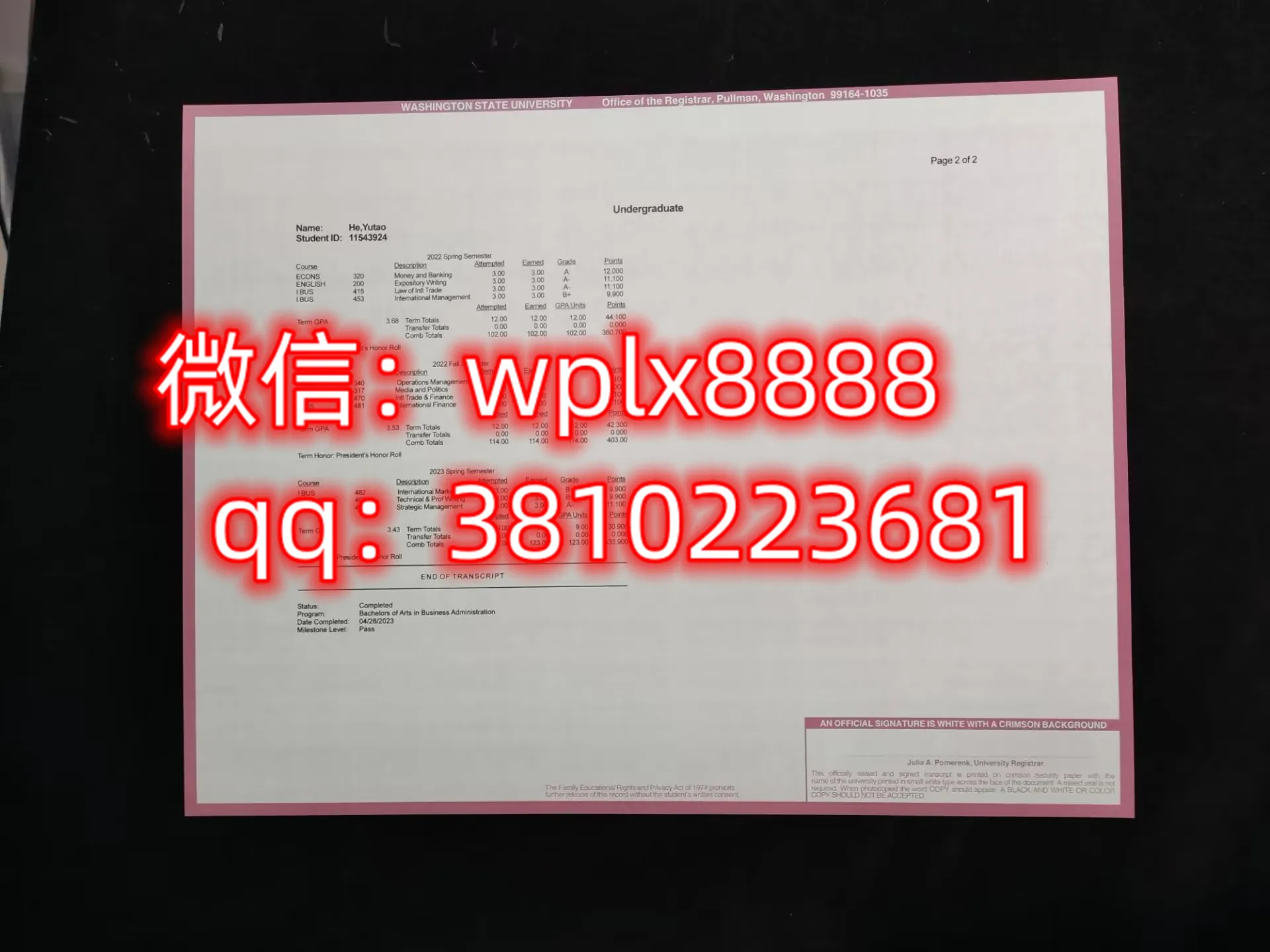 华盛顿州立大学