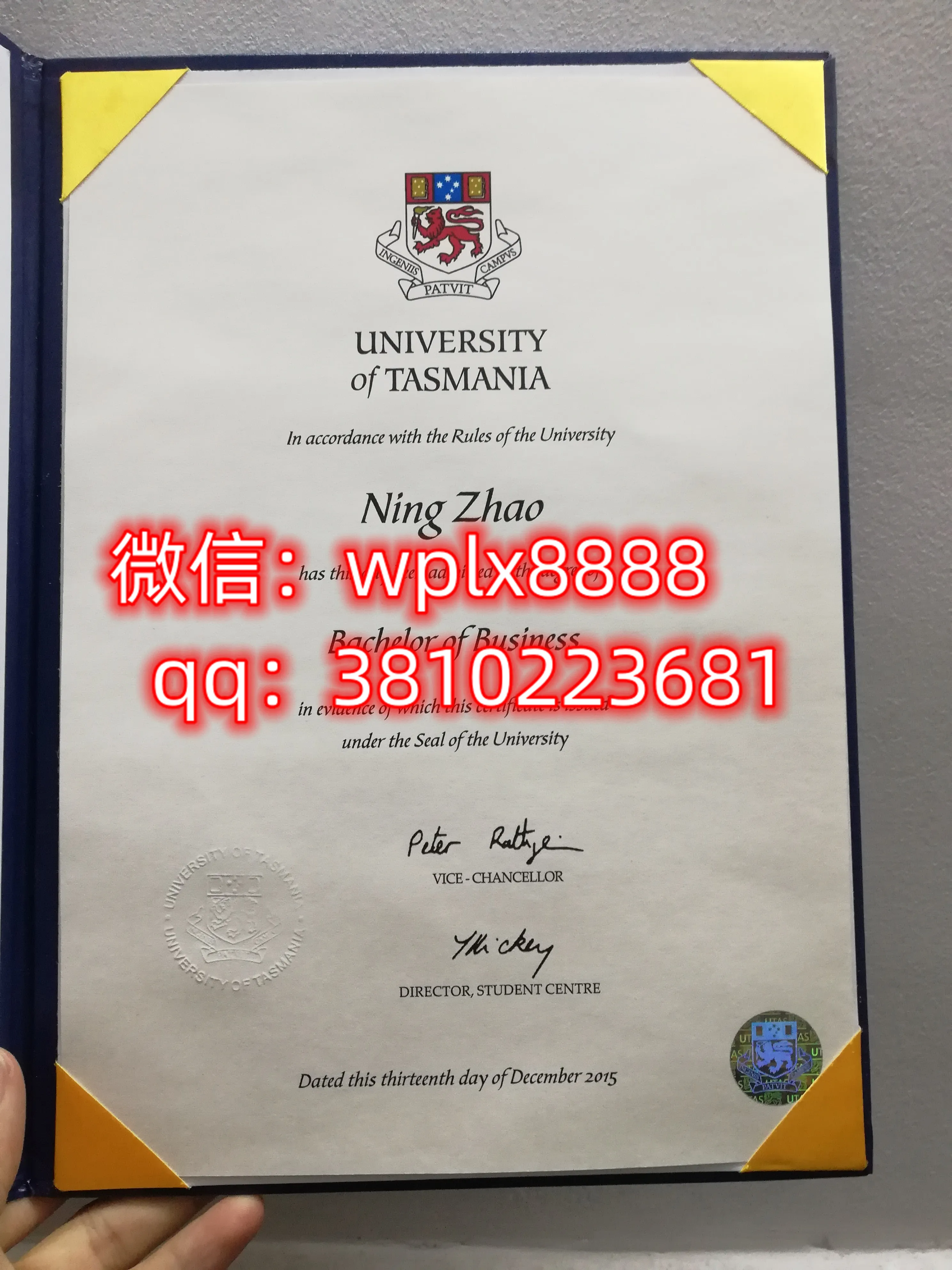 塔斯马尼亚大学