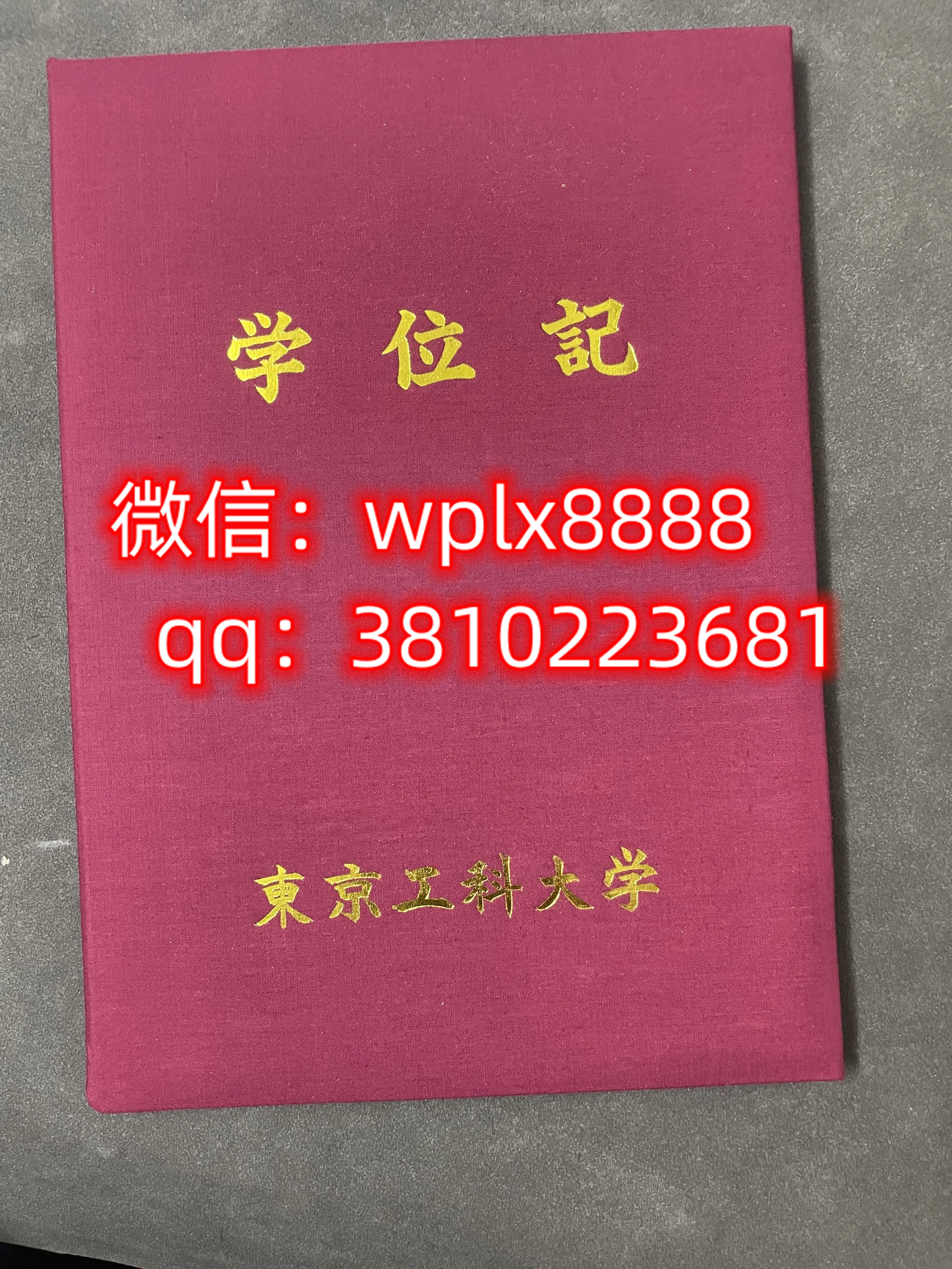 东京工业大学
