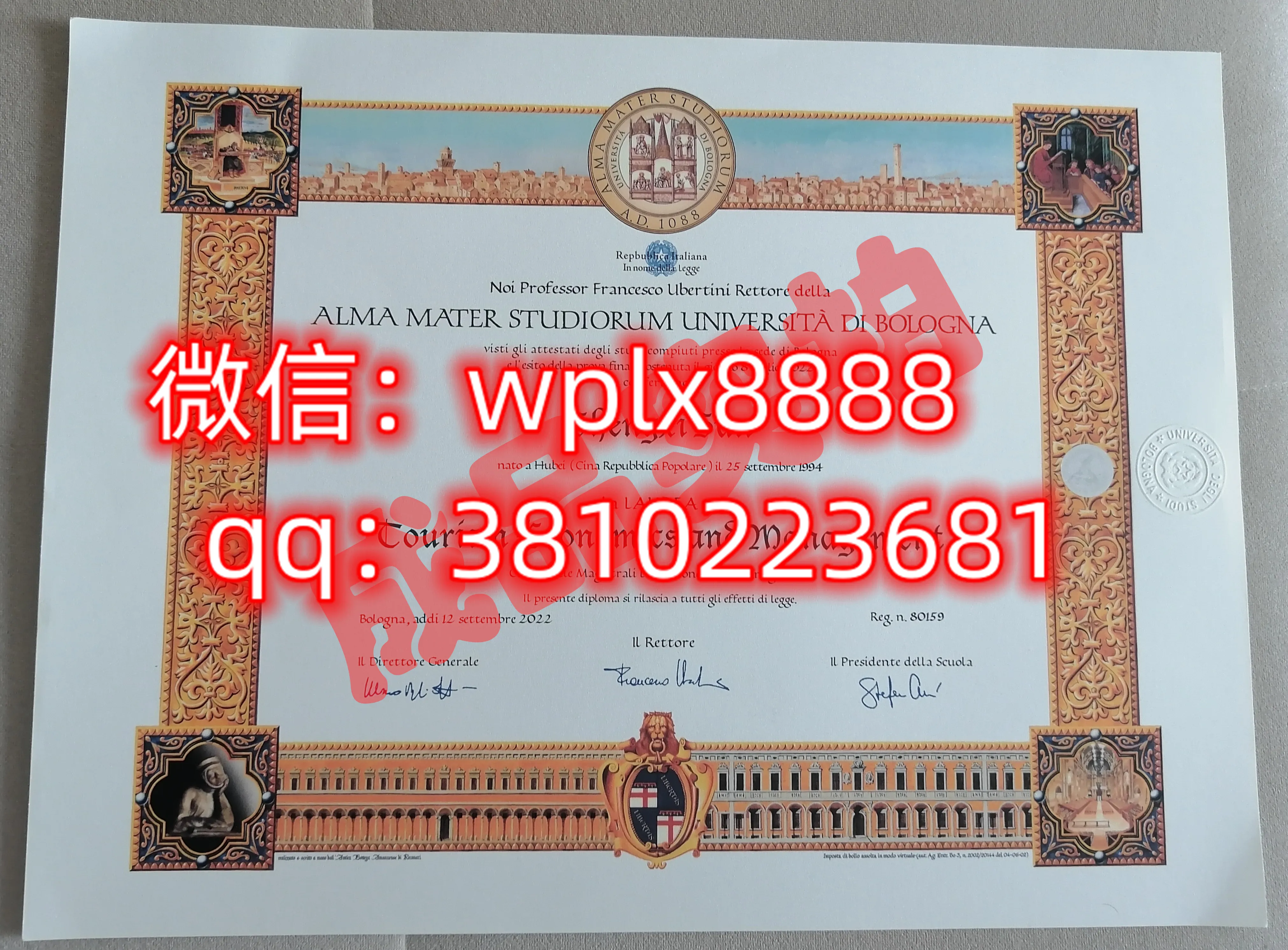博洛尼亚大学