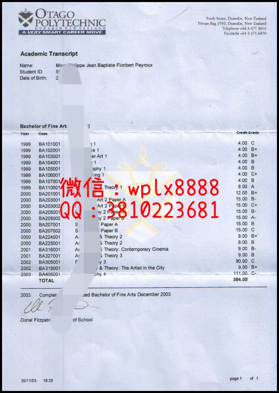 奥塔哥理工学院成绩单样本_副本