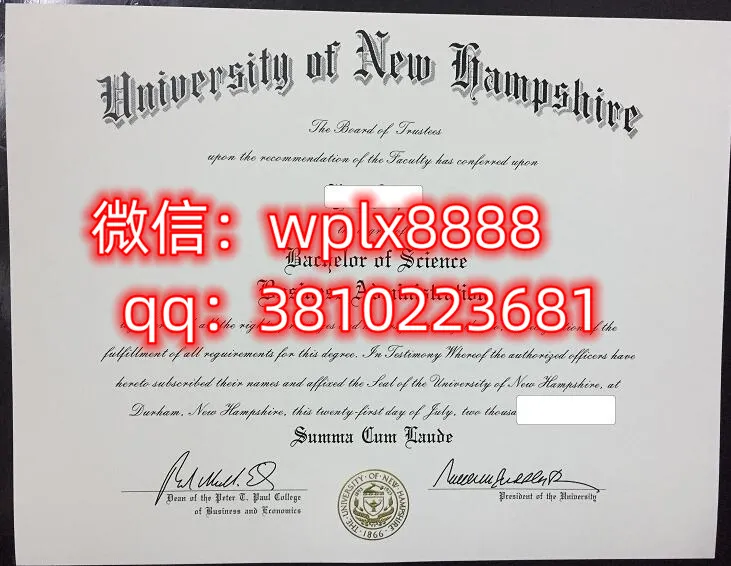 新罕布什尔大学