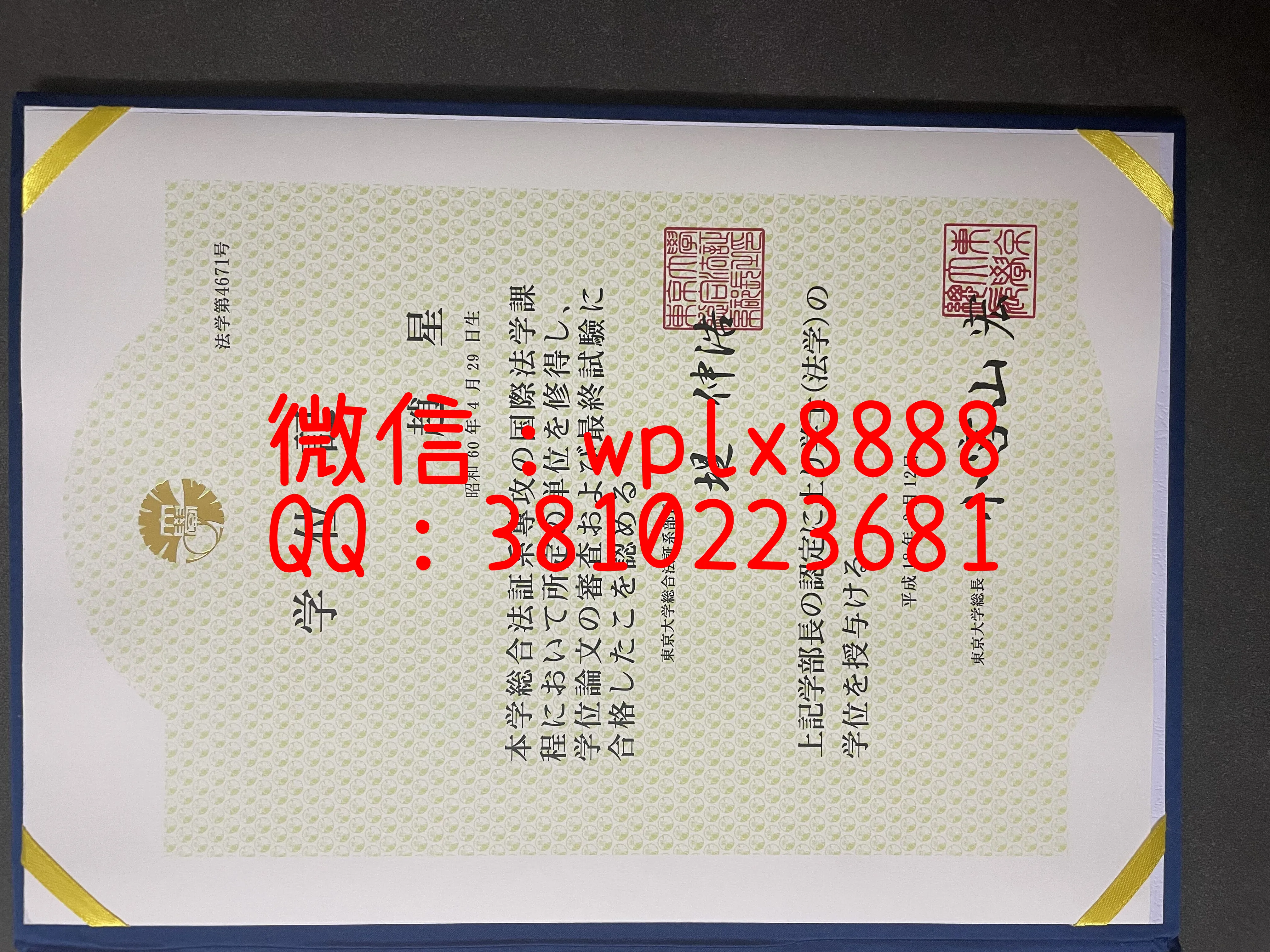 日本东京大学毕业证-学士本科样本-成品1