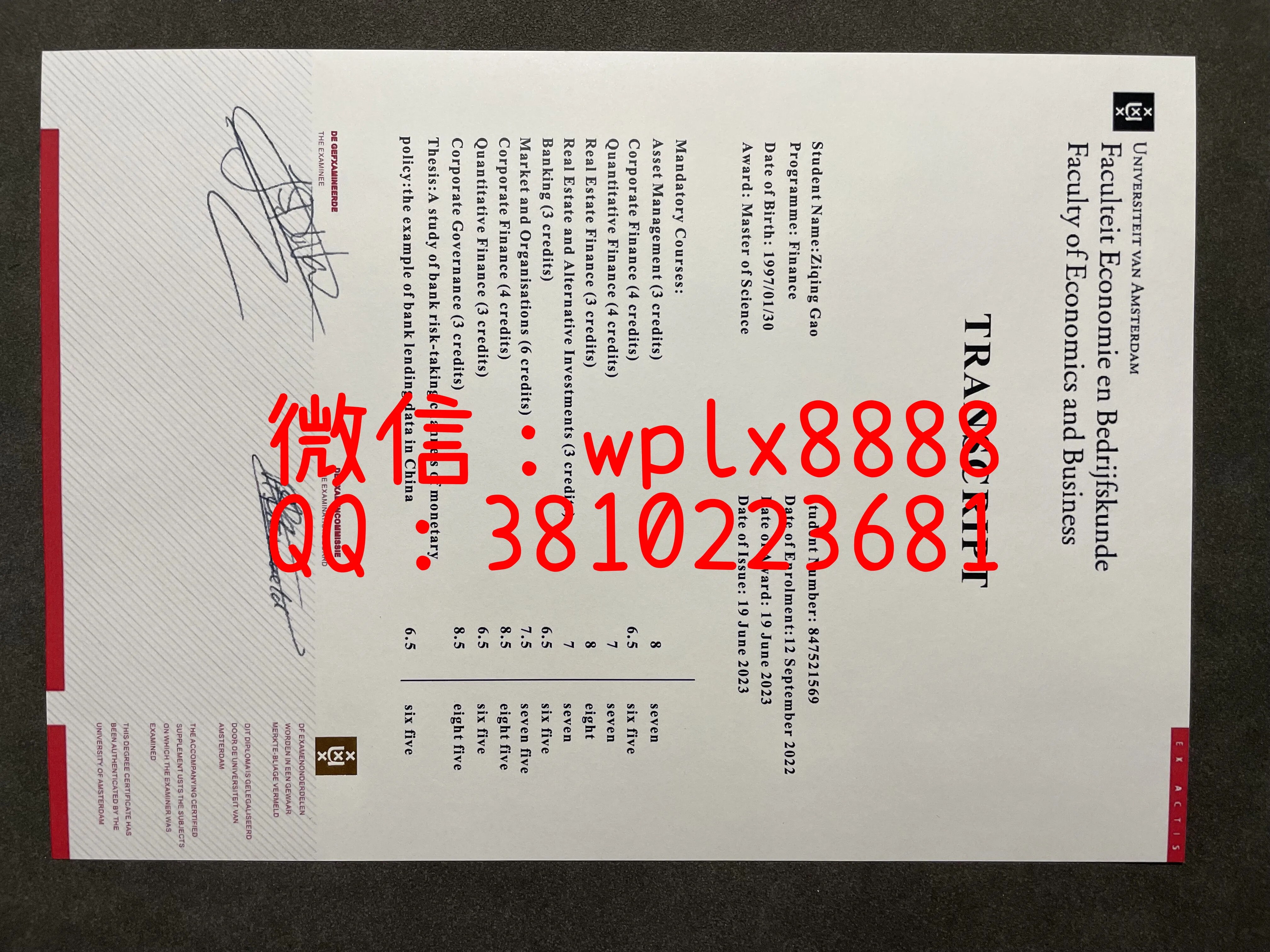 荷兰阿姆斯特丹大学成绩单-成品