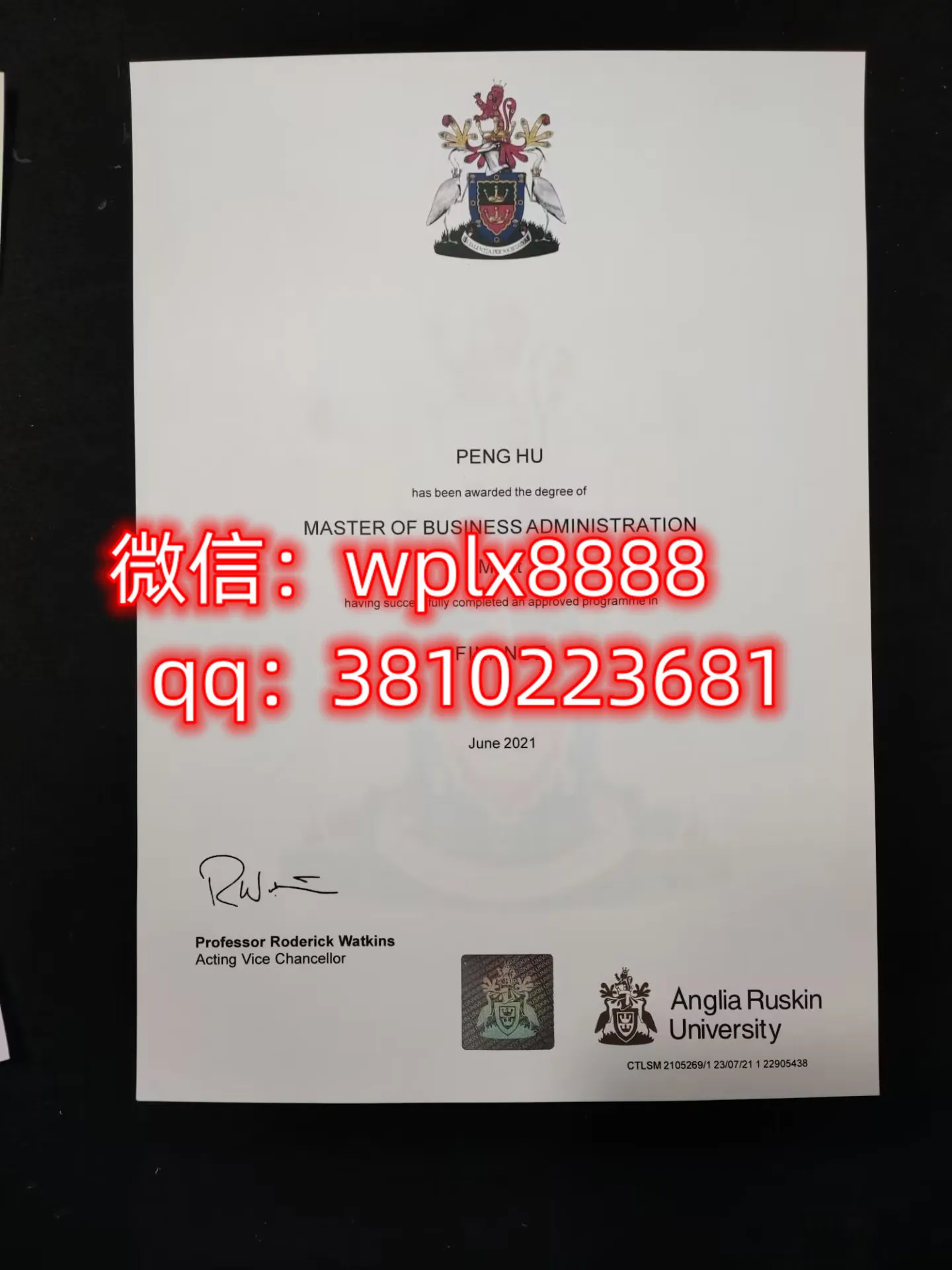 安格利亚鲁斯金大学