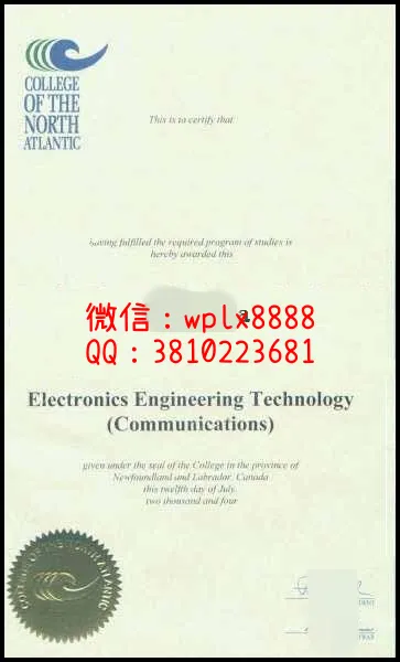 北大西洋学院文凭_副本_副本