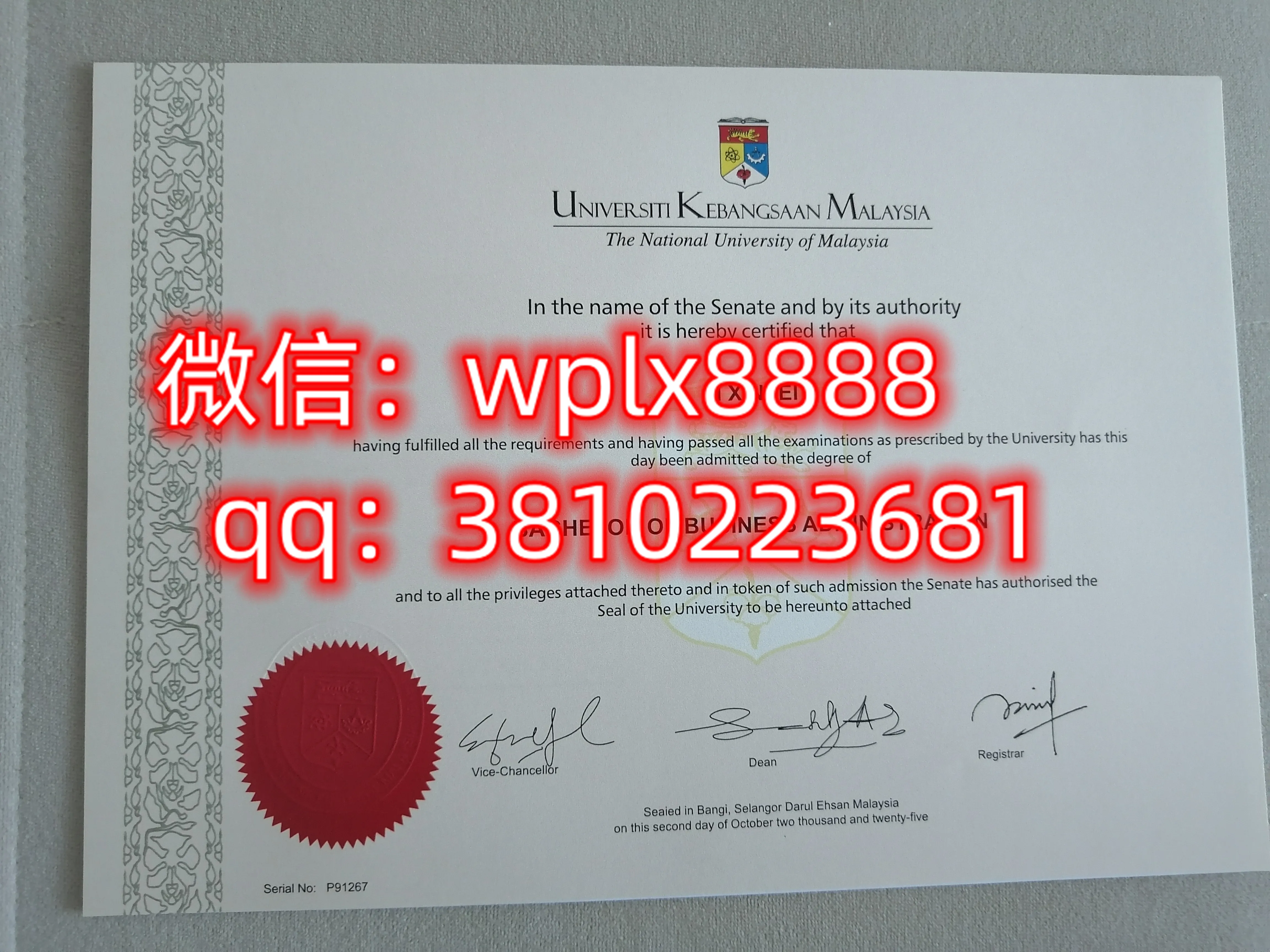 马来西亚国立大学