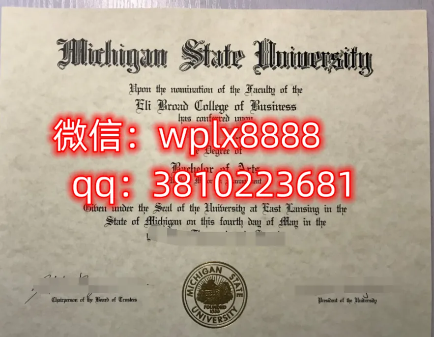 密歇根州立大学