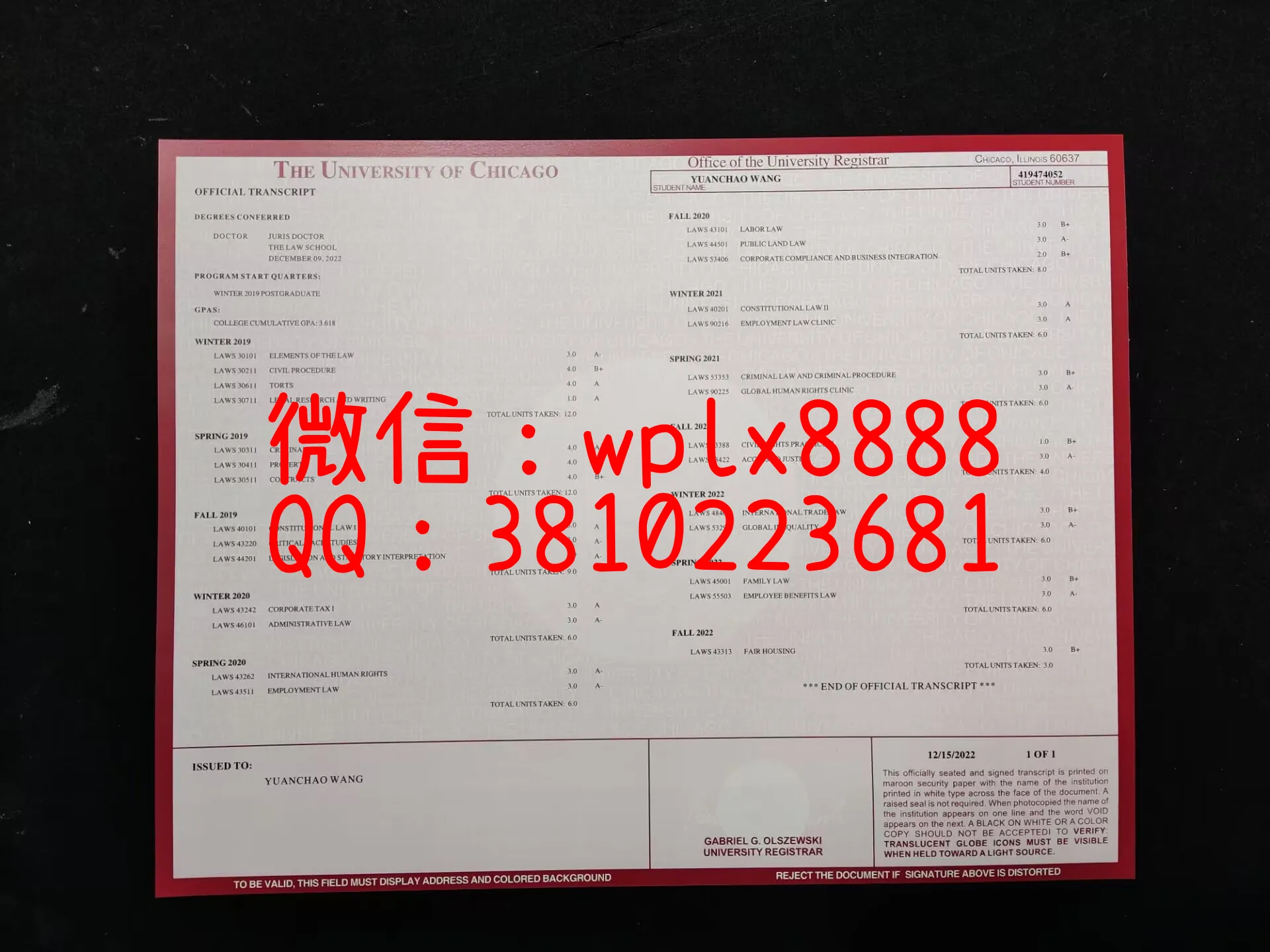 芝加哥大学成绩单-成品