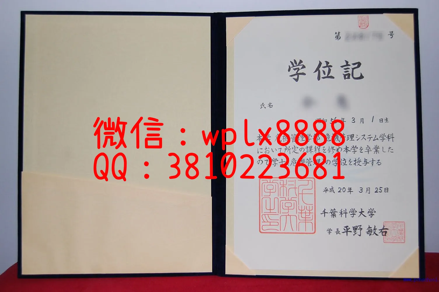 千叶科学大学的学位证书