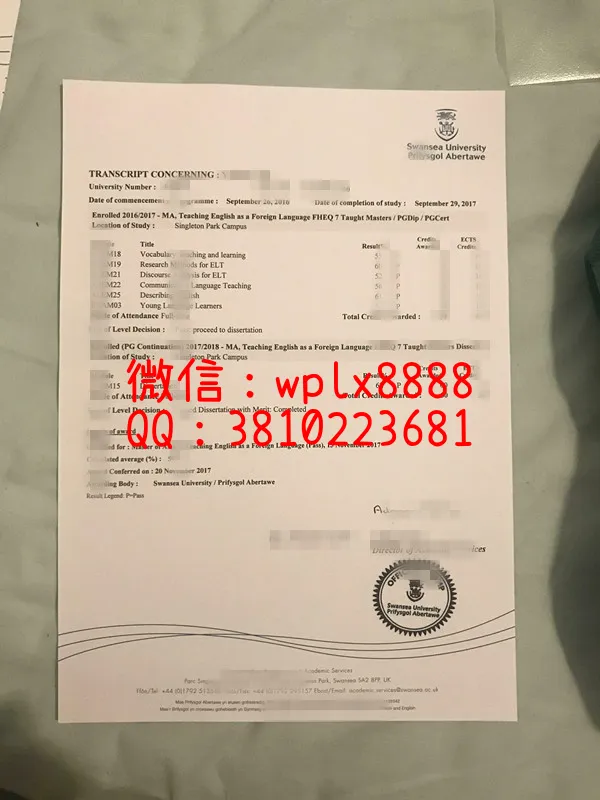 斯旺西大学成绩单样本