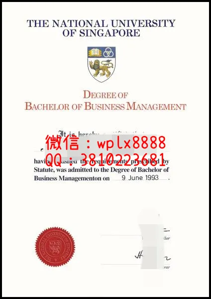 新加坡国立大学_副本