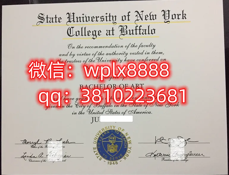 纽约州立大学布法罗分校
