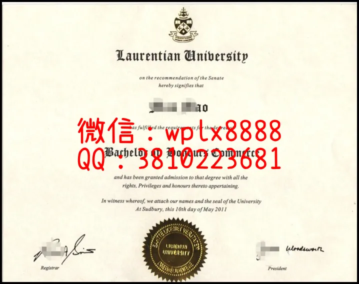 劳伦森大学毕业证_副本