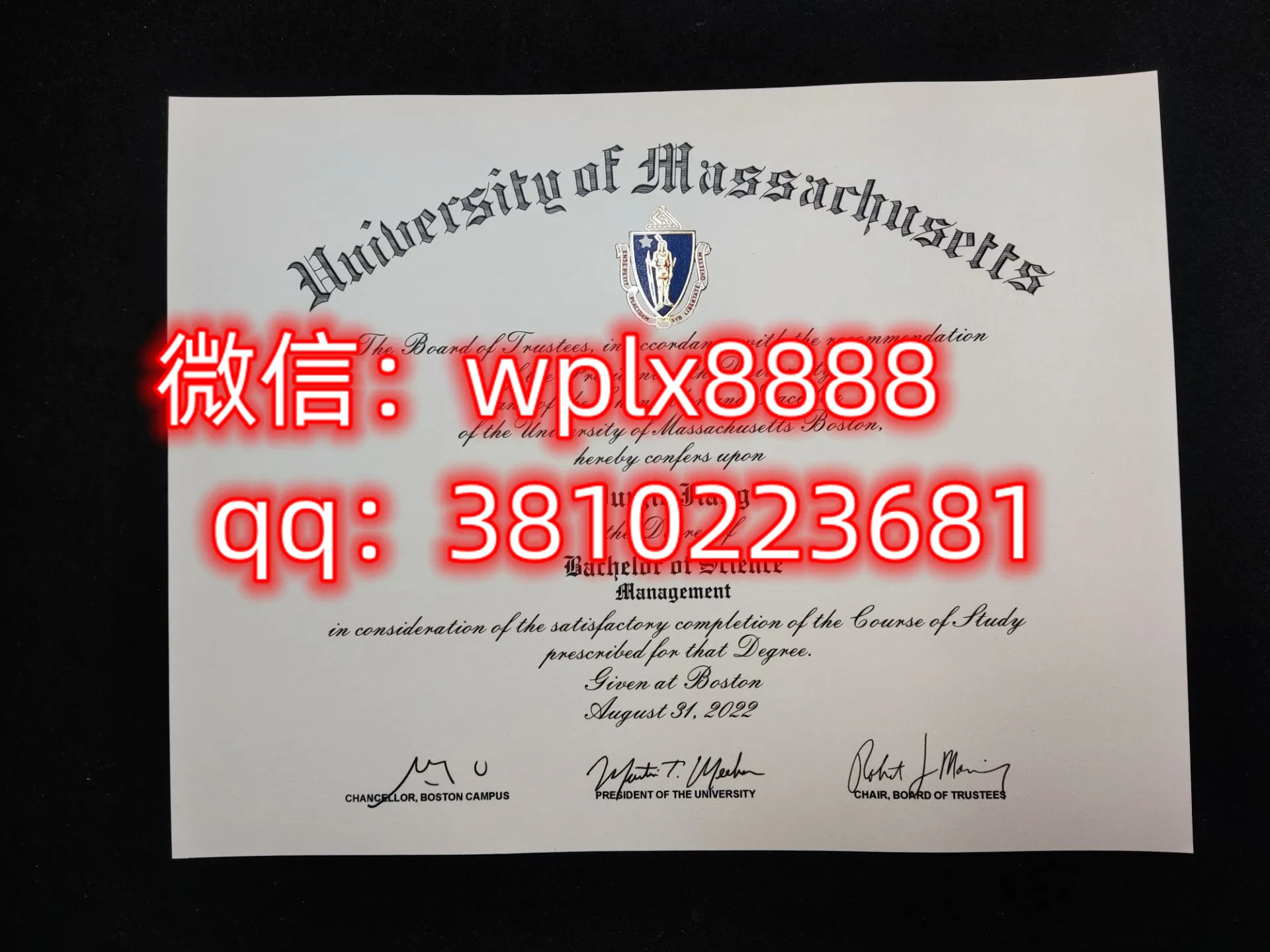 麻省大学波士顿分校