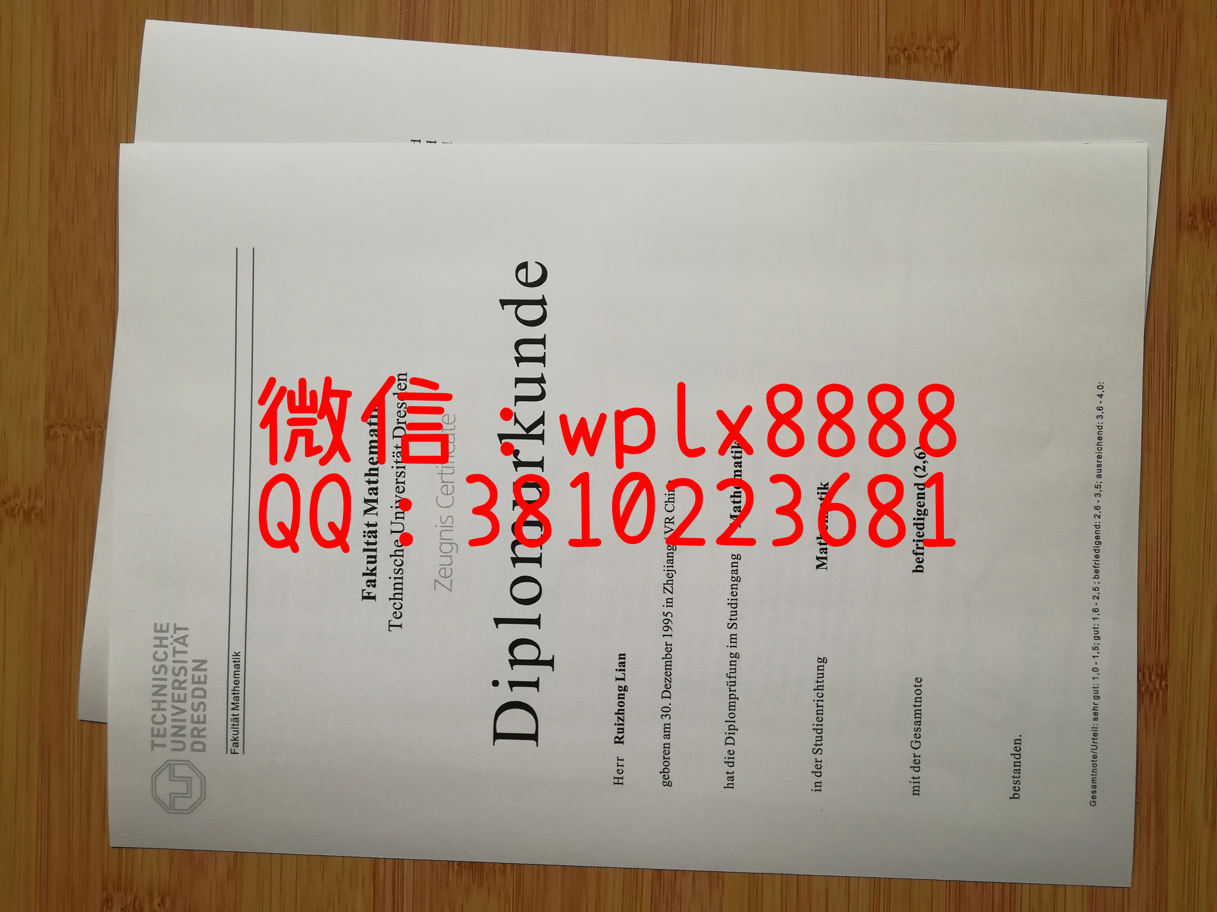 德累斯顿工业大学成绩单