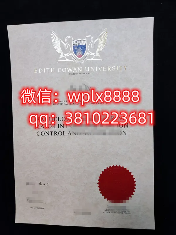 埃迪斯科文大学