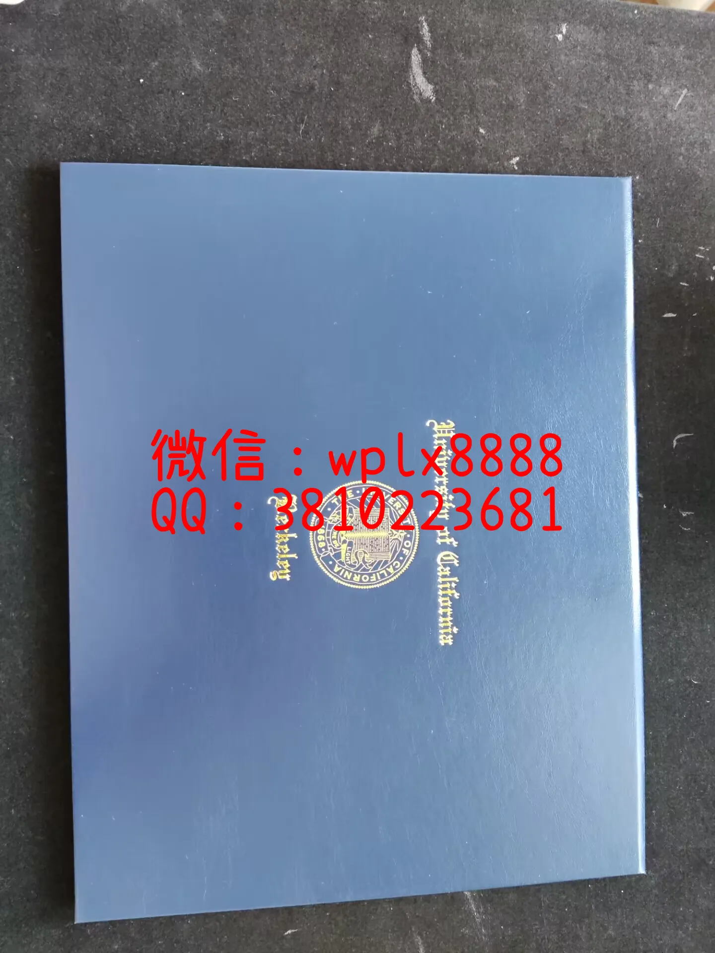 美国加州伯克利大学-C外壳-成品