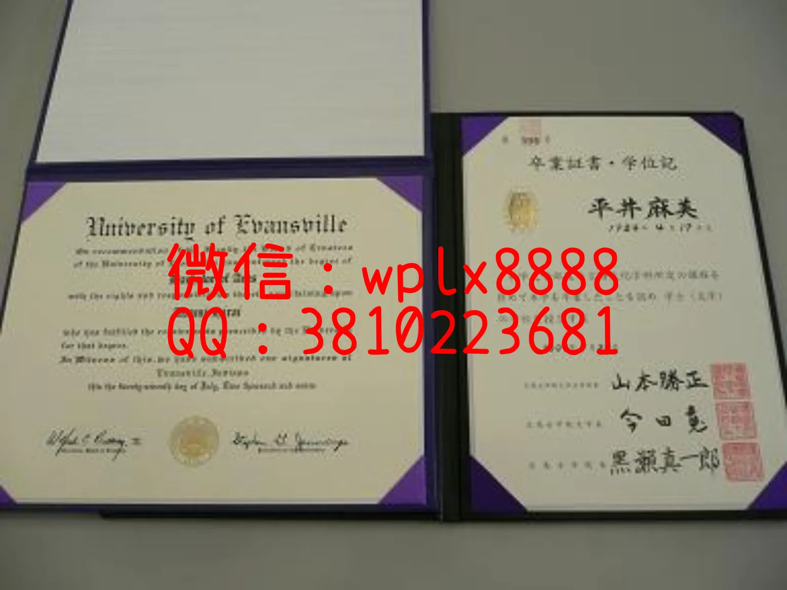 广岛女学院大学毕业证