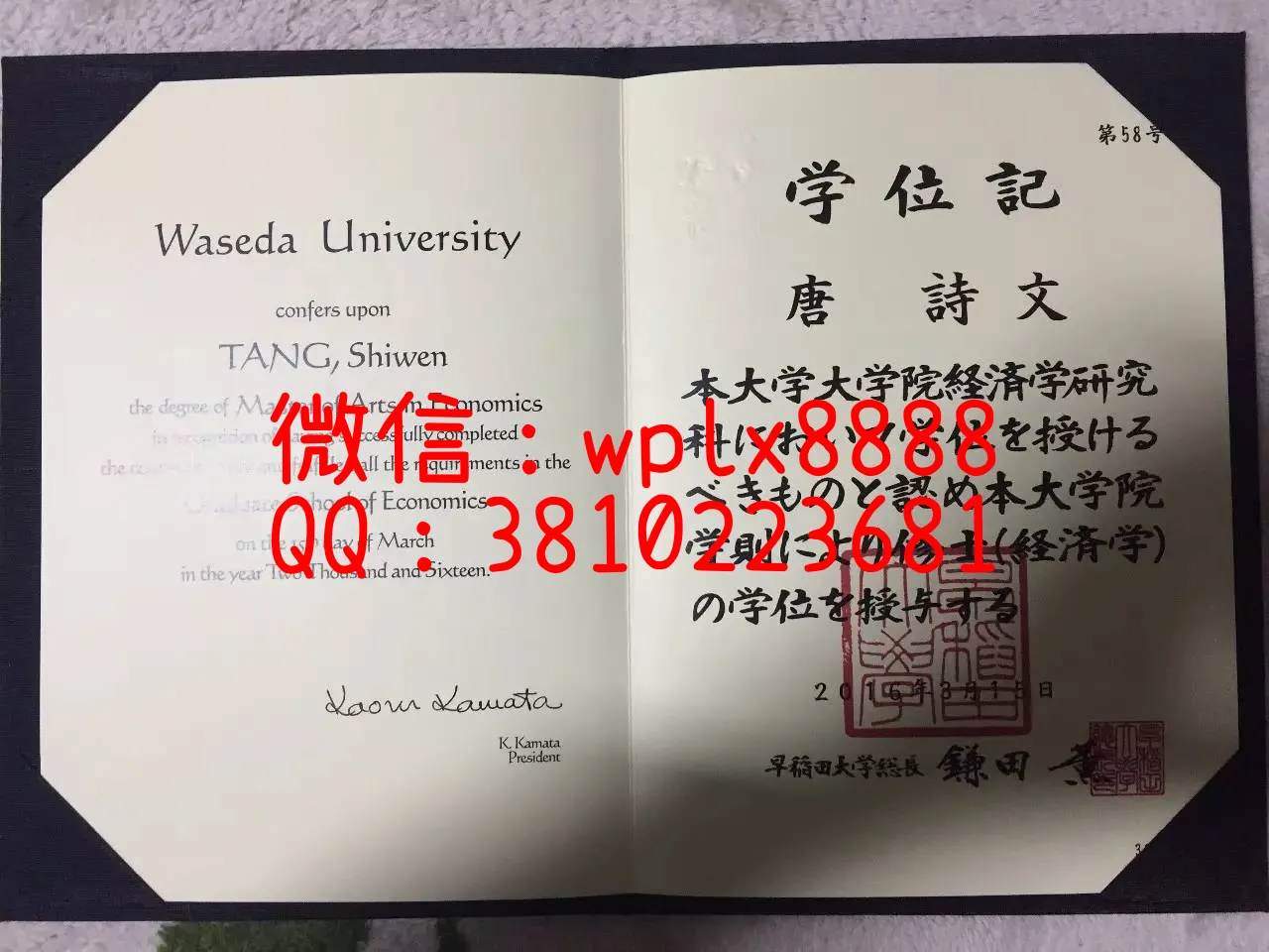 早稻田大学2016版本