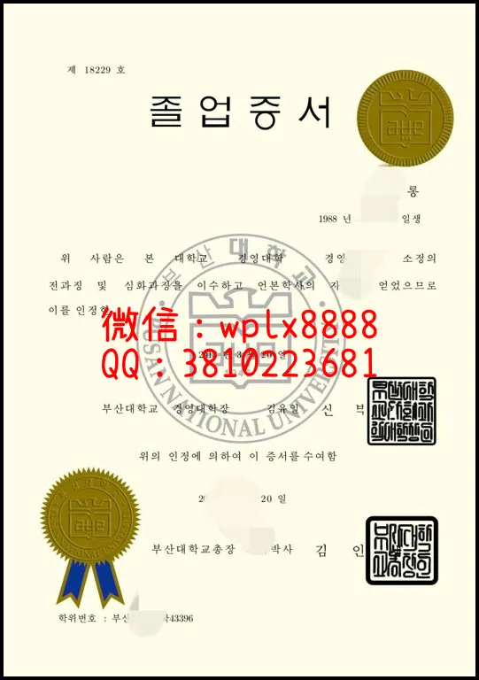 釜山国立大学毕业证_副本-副本