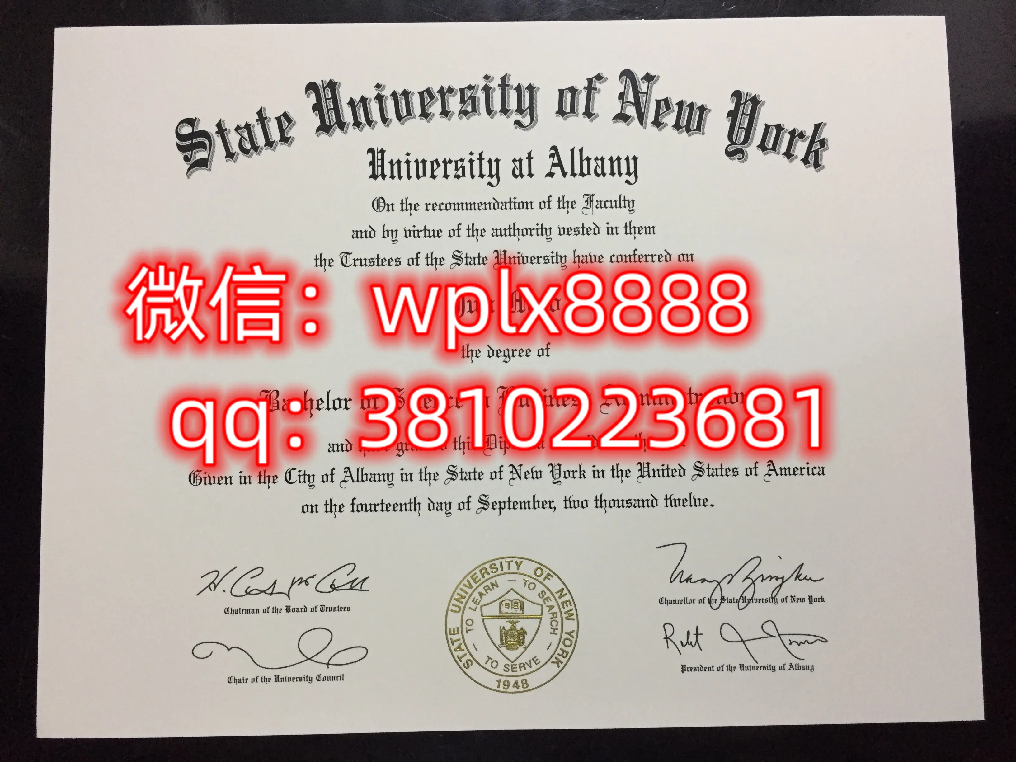 纽约州立大学奥尔巴尼分校