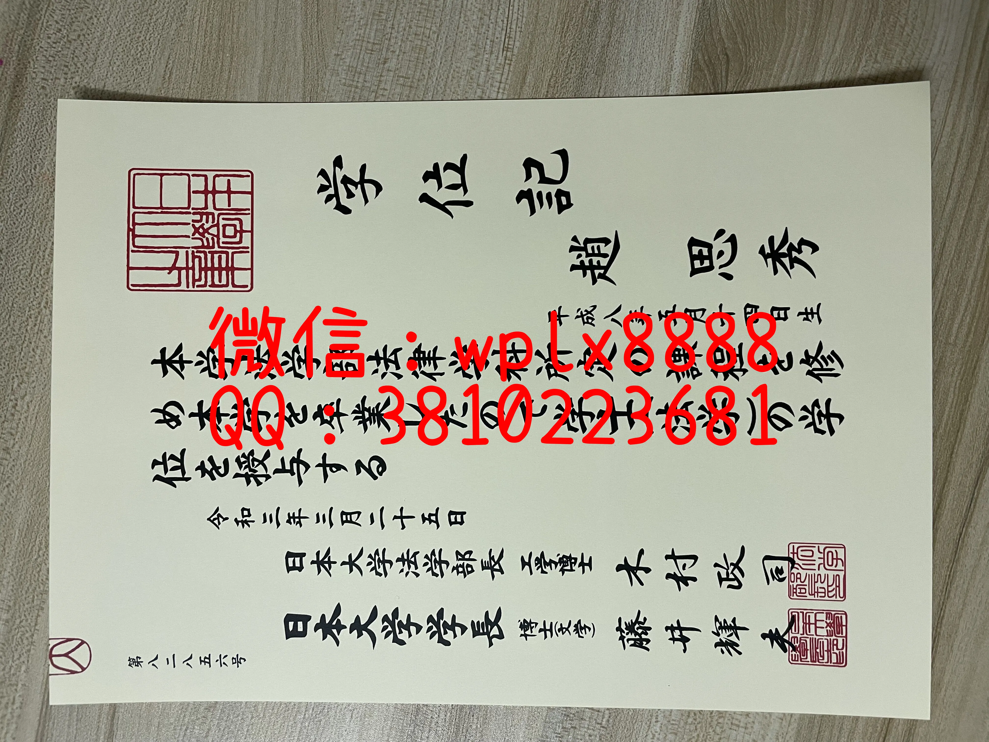 日本大学毕业证-成品