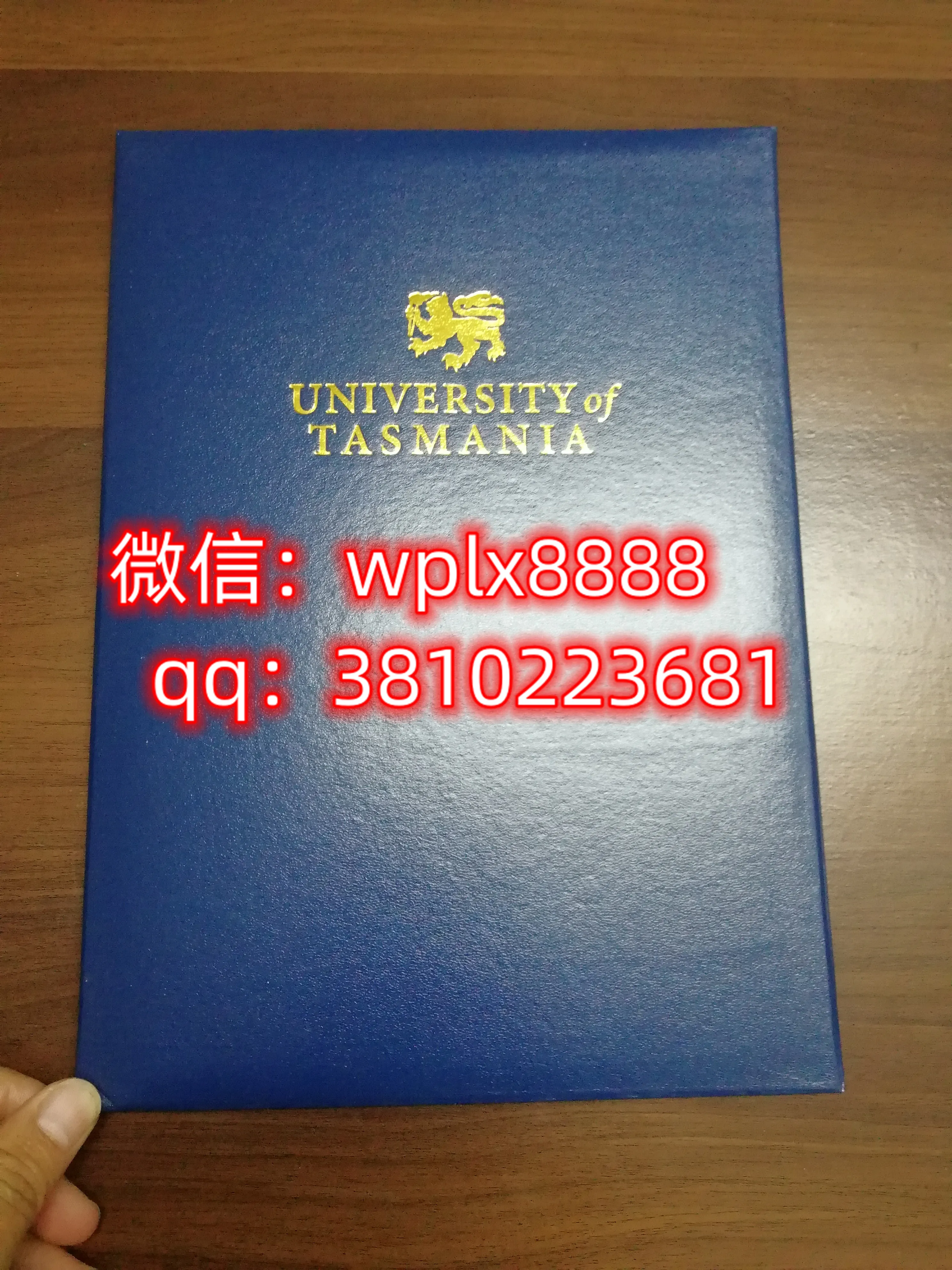 塔斯马尼亚大学