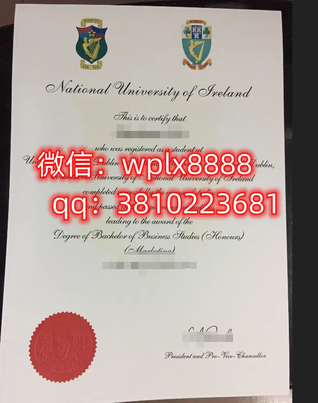 都柏林大学学院